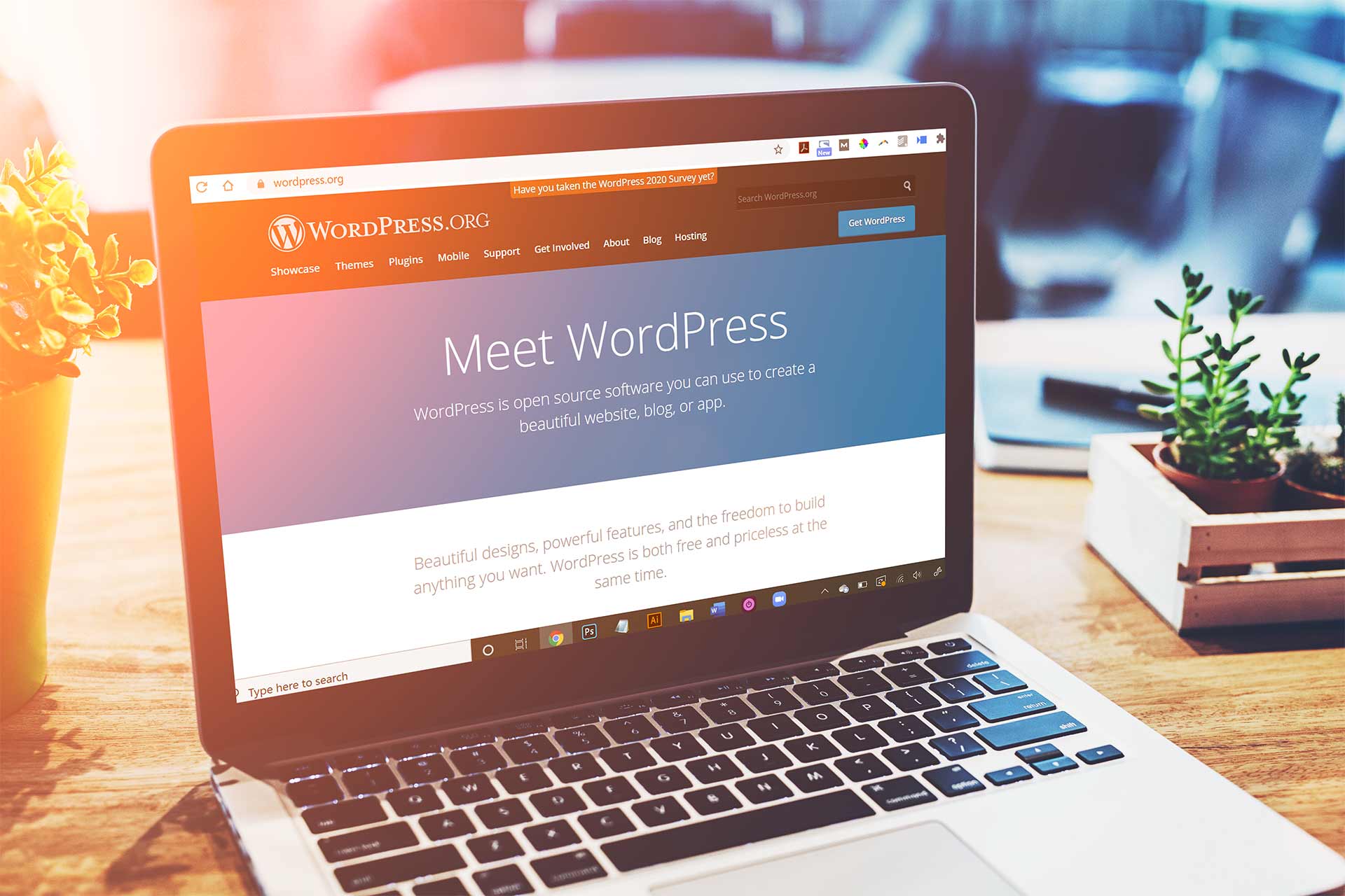 qu'est-ce que c'est wordpress & pourquoi est-ce la meilleure plate forme de site web ?